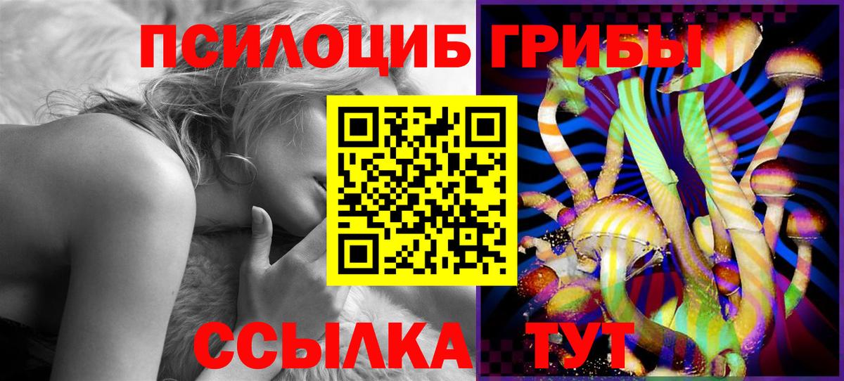 Псилоцибиновые грибы GOLDEN TEACHER Зерноград